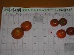収穫できたミニトマトはいくつかな？